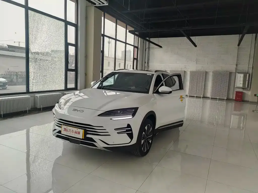 BYD PLUS New Energy 2024 из CN, фото 2