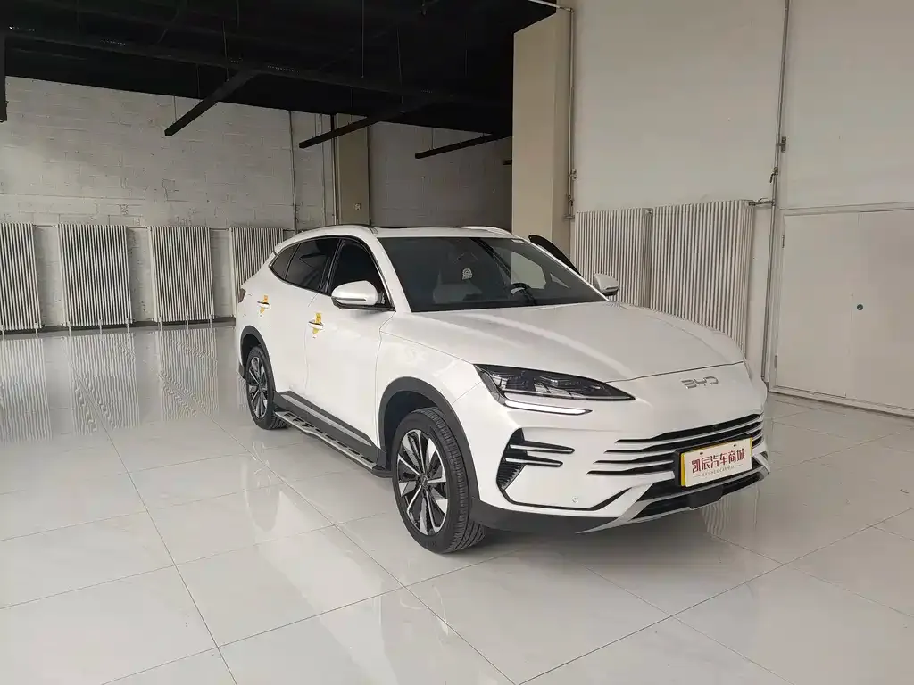 BYD PLUS New Energy 2024 из CN, фото 3