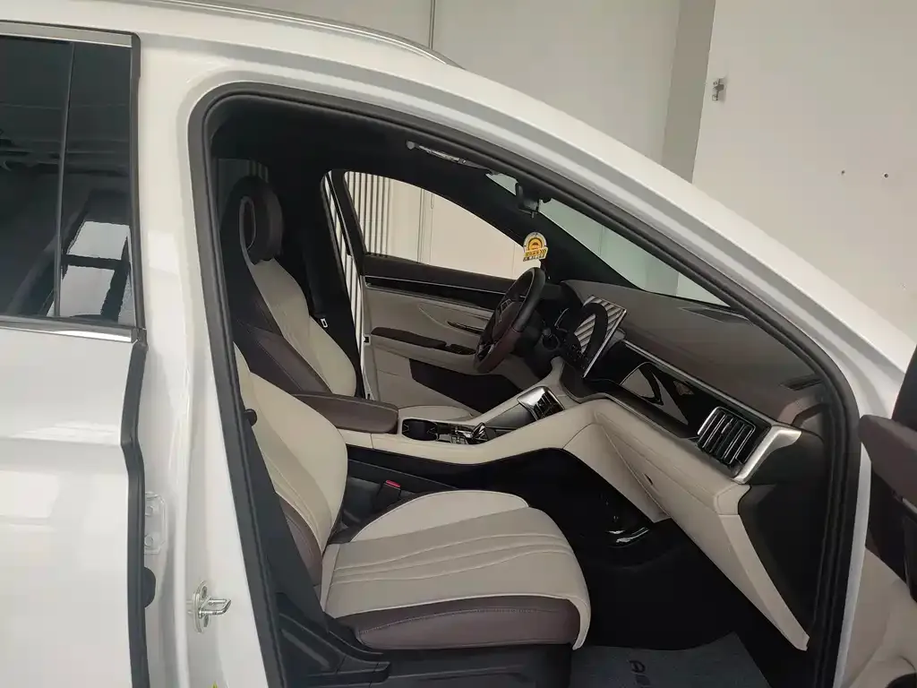 BYD PLUS New Energy 2024 из CN, фото 4