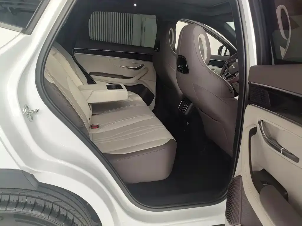 BYD PLUS New Energy 2024 из CN, фото 5