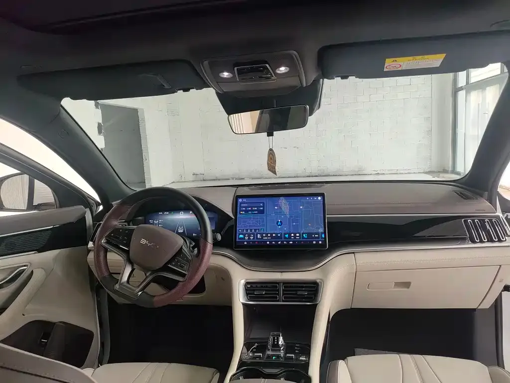 BYD PLUS New Energy 2024 из CN, фото 6