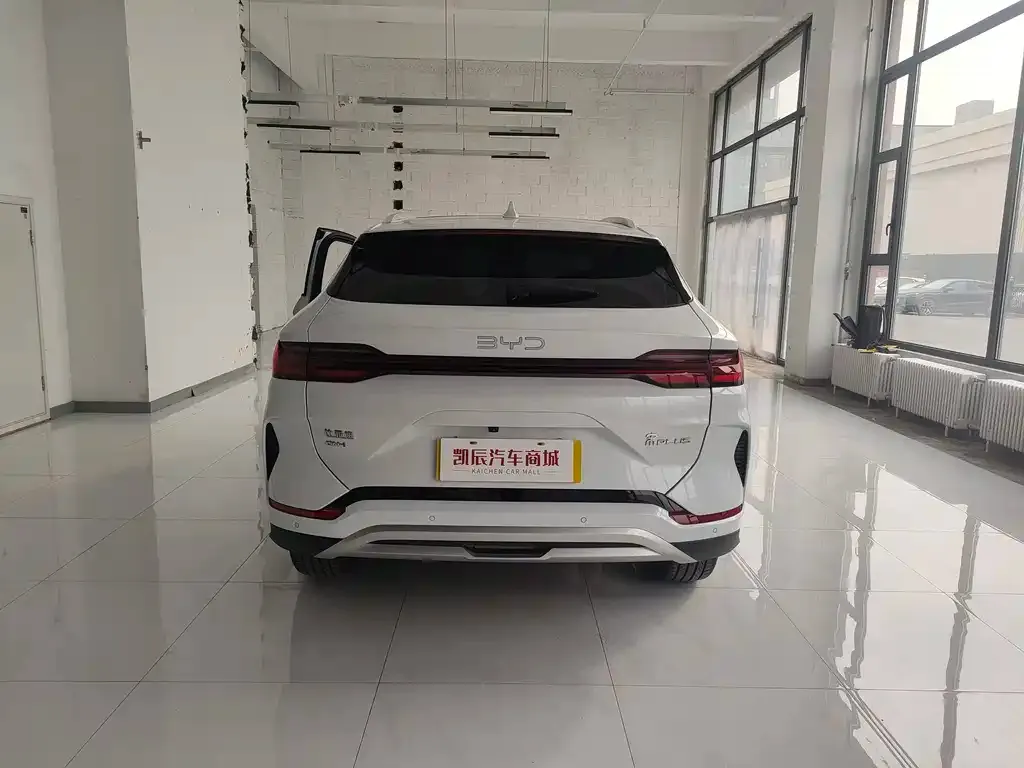 BYD PLUS New Energy 2024 из CN, фото 7
