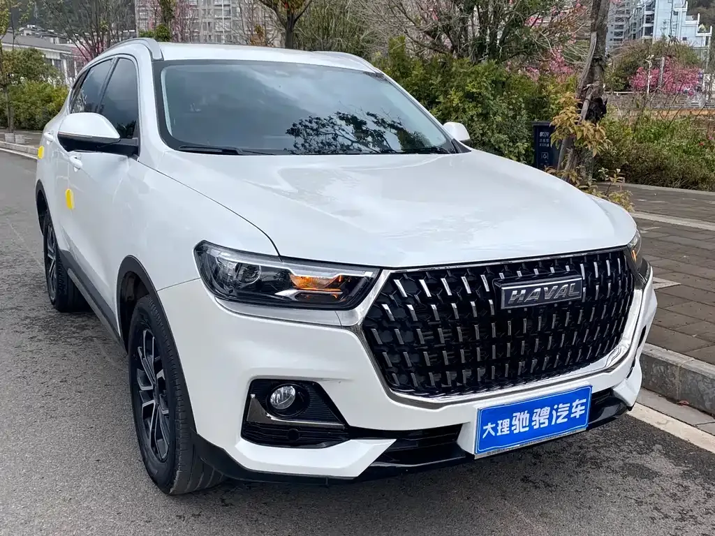 Haval H6 — фото 10