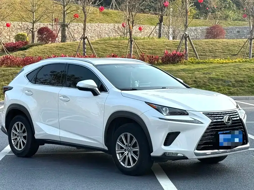 Lexus NX — фото 7