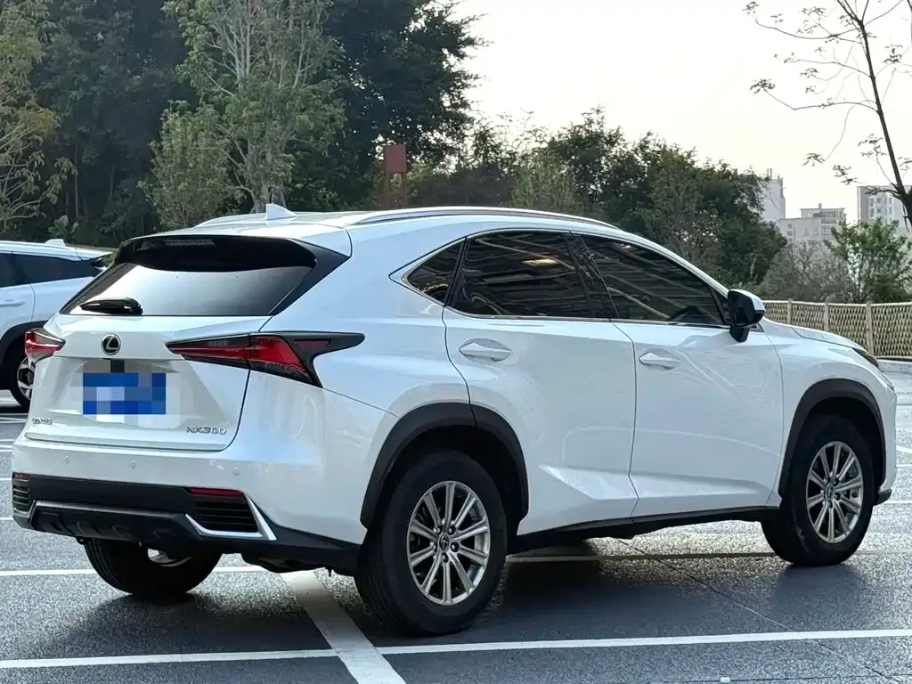 Lexus NX — фото 4