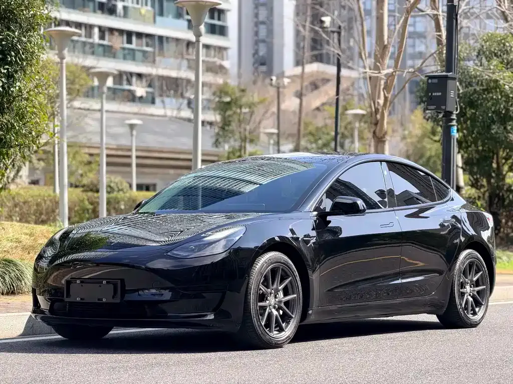 Tesla Model 3 2021 из CN, фото 1