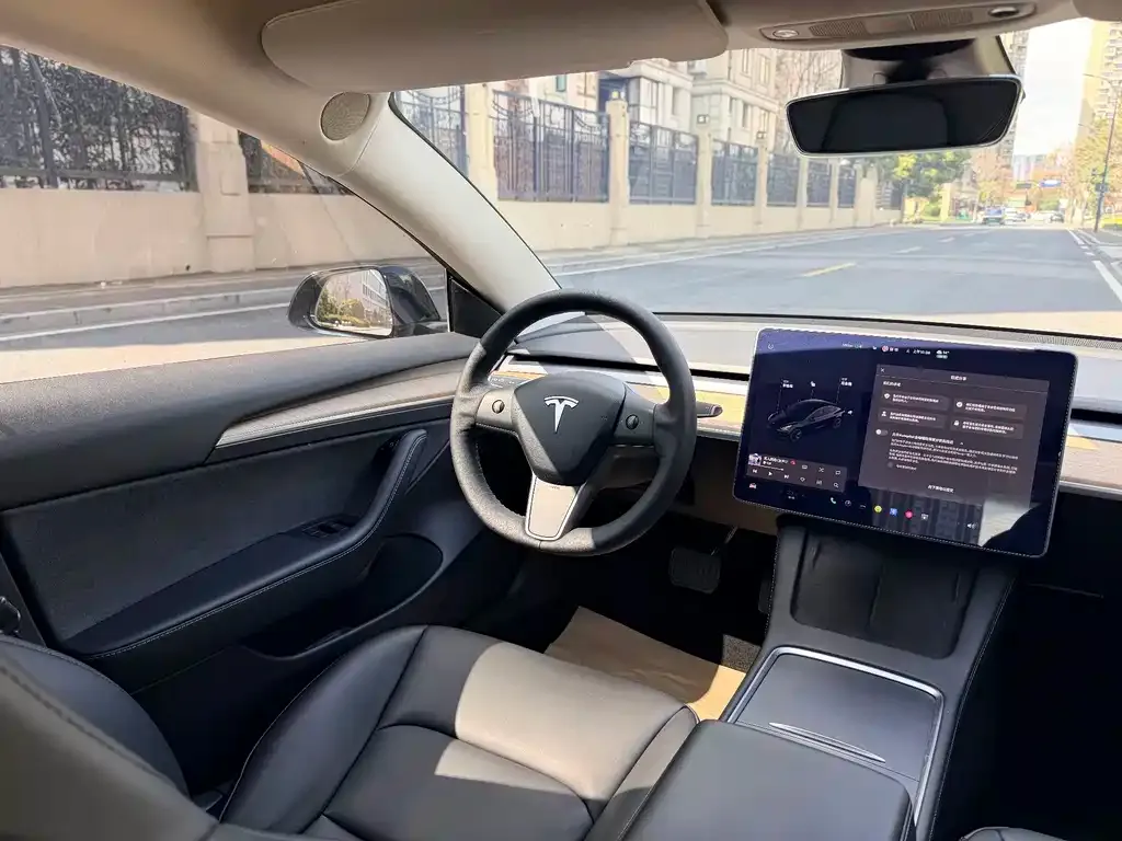 Tesla Model 3 2021 из CN, фото 3