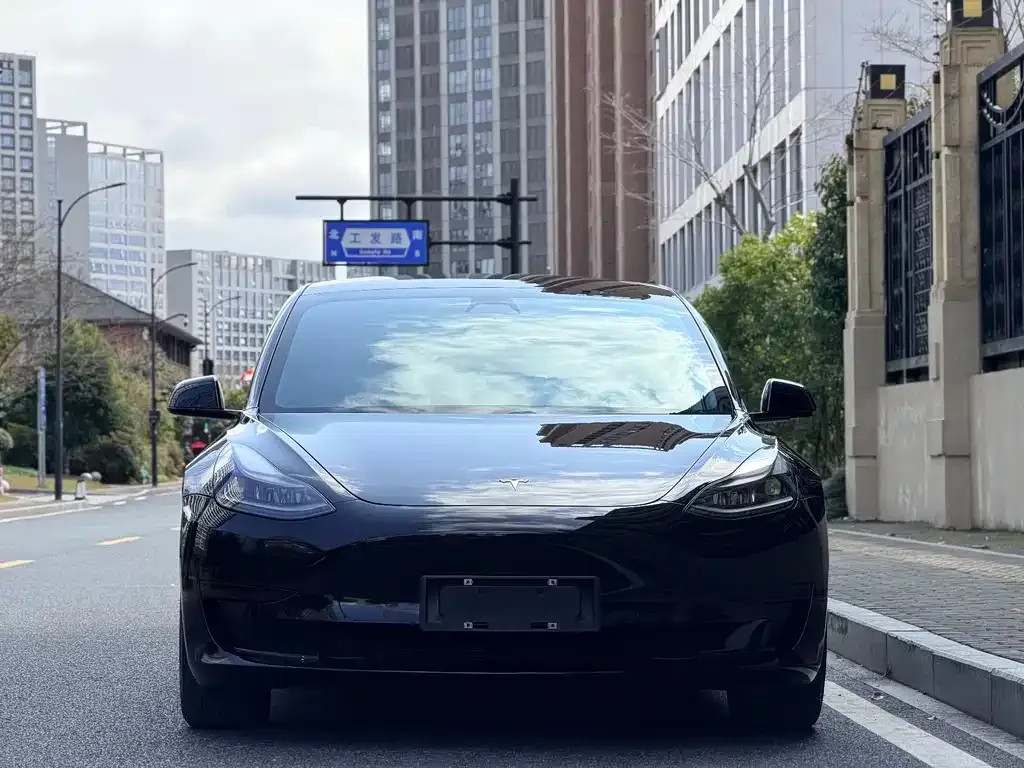 Tesla Model 3 2021 из CN, фото 2