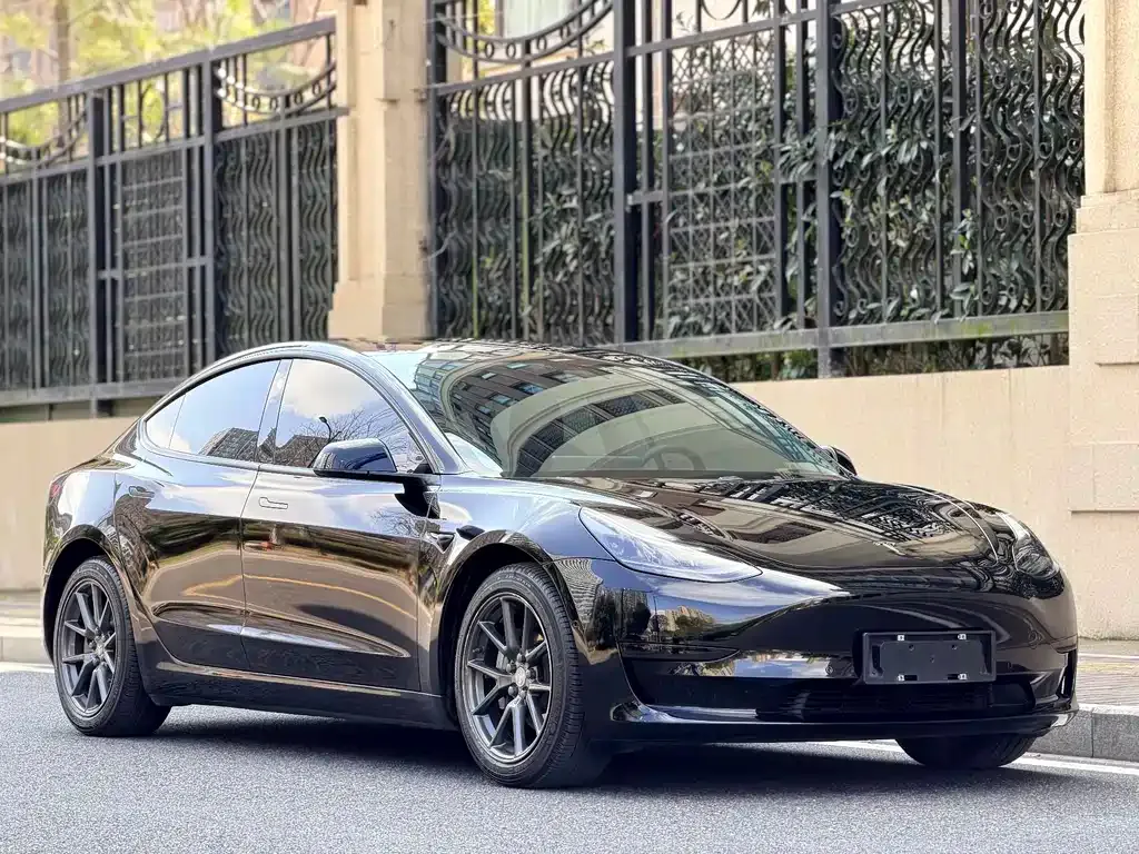 Tesla Model 3 2021 из CN, фото 6