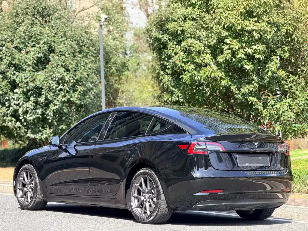 Tesla Model 3 2021 из CN, фото 8