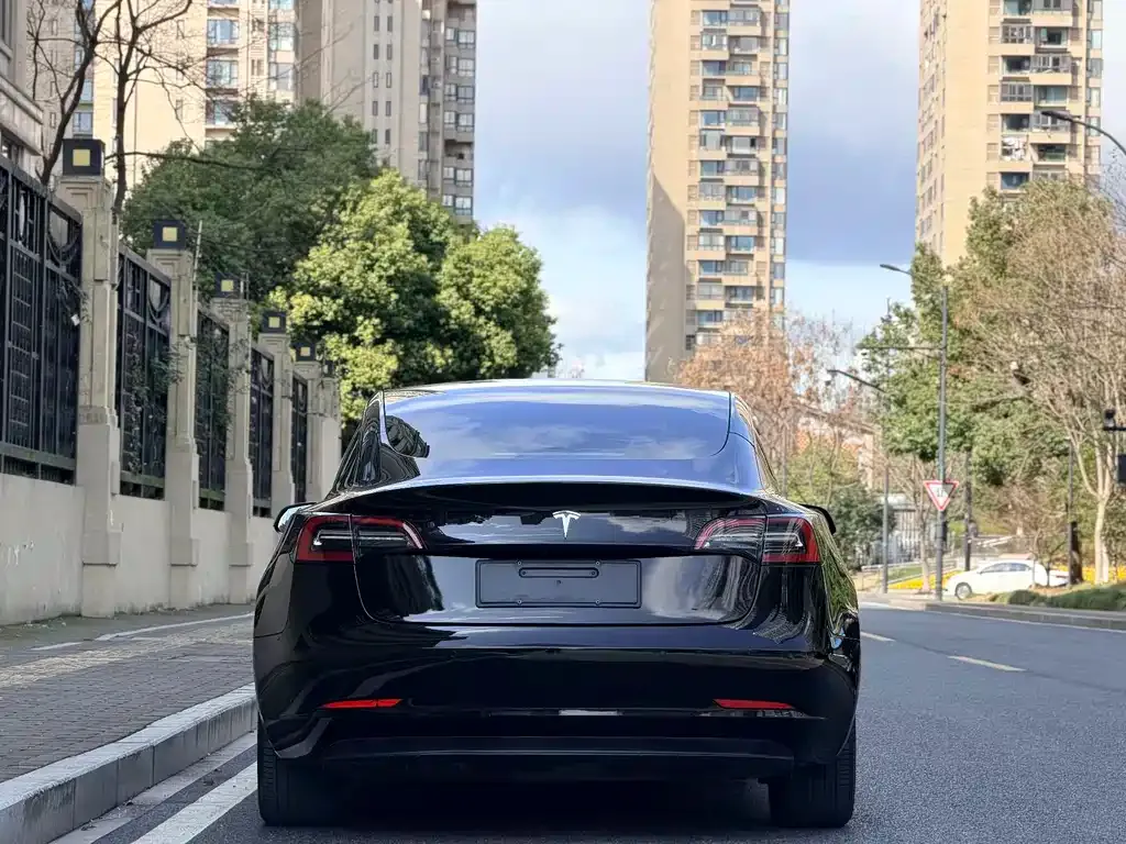 Tesla Model 3 2021 из CN, фото 9