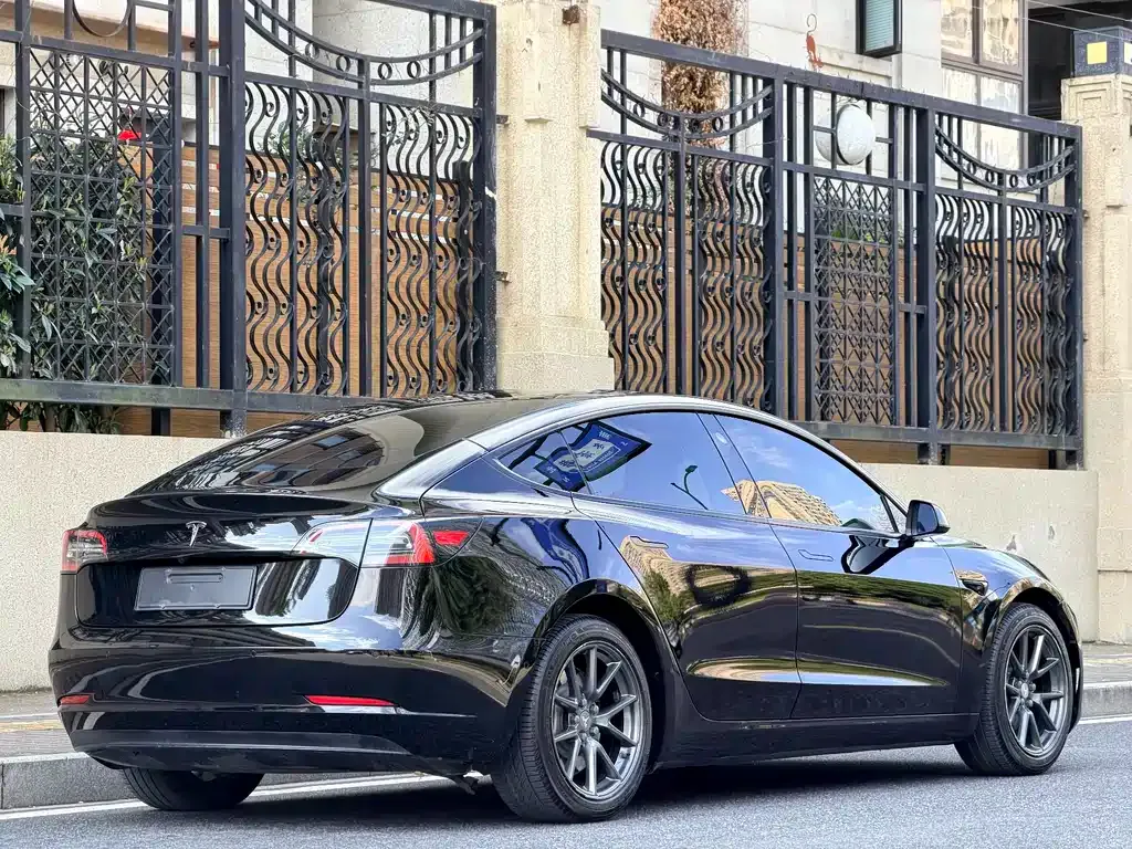 Tesla Model 3 2021 из CN, фото 4