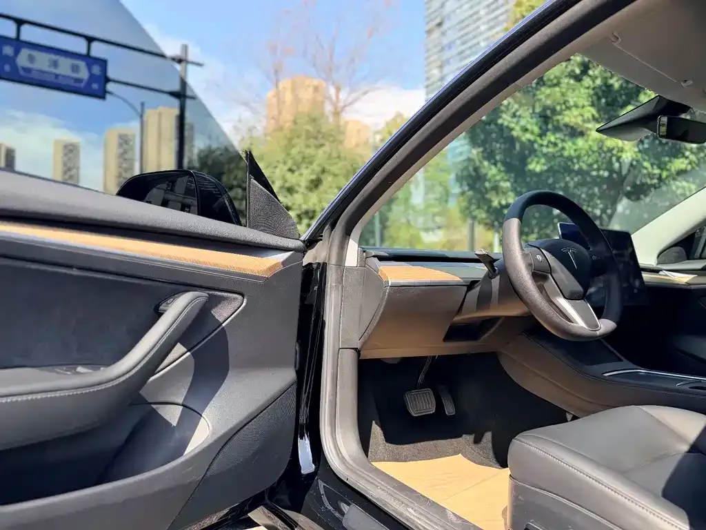 Tesla Model 3 2021 из CN, фото 10