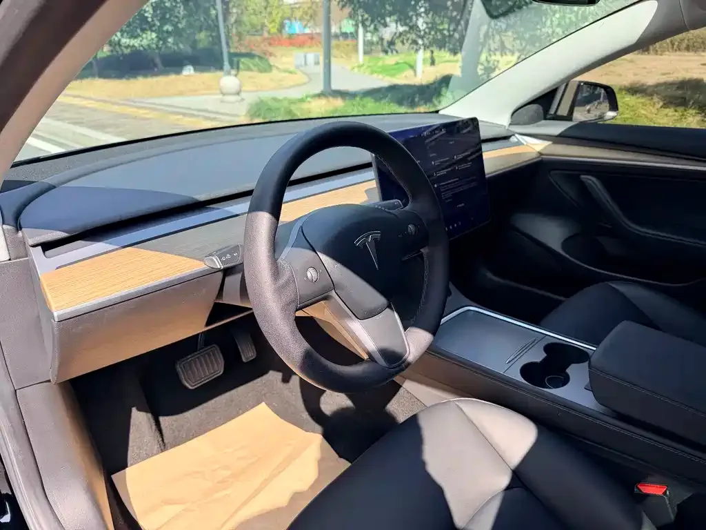 Tesla Model 3 2021 из CN, фото 5