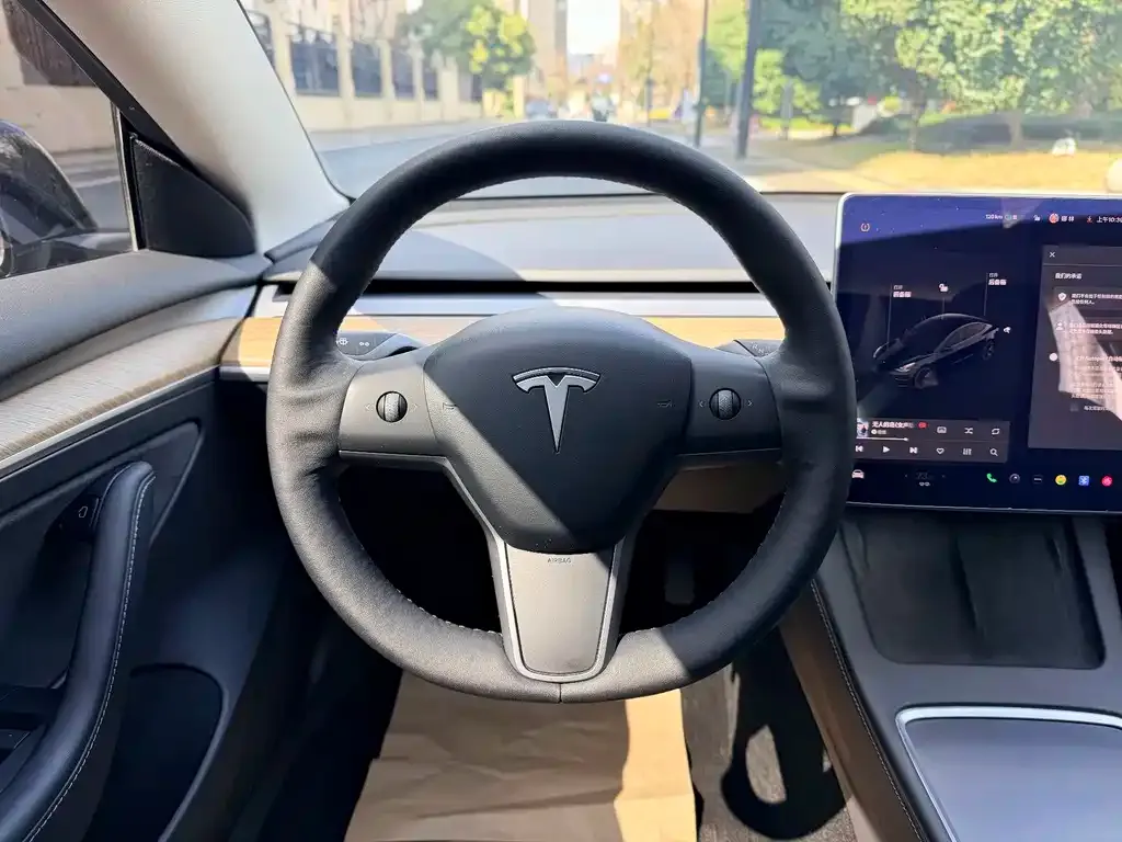 Tesla Model 3 2021 из CN, фото 7