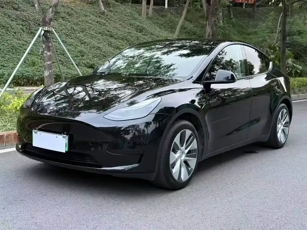 Tesla Model Y 2023 из CN, фото 1