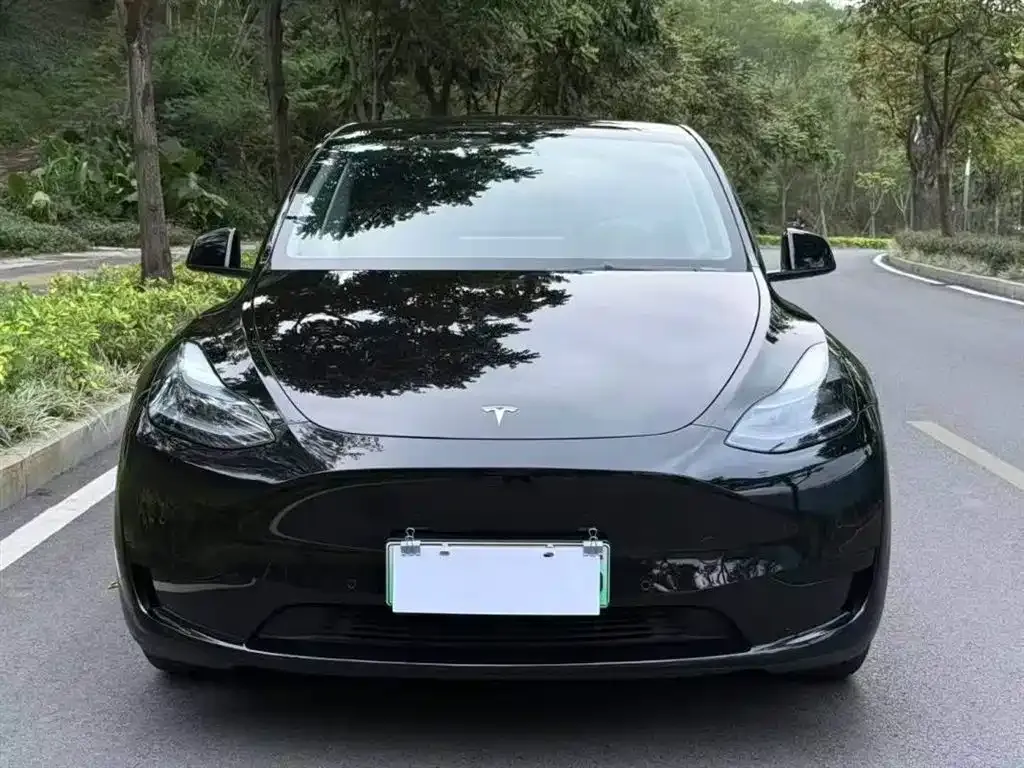 Tesla Model Y 2023 из CN, фото 3
