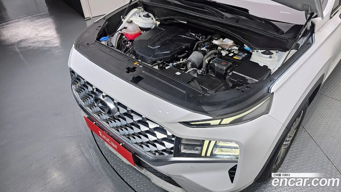 Hyundai Santafe 2021 из KR, фото 10
