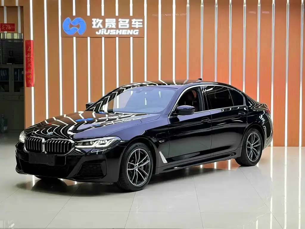 BMW 5 Series New Energy — фото 1