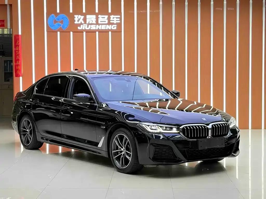 BMW 5 Series New Energy — фото 3
