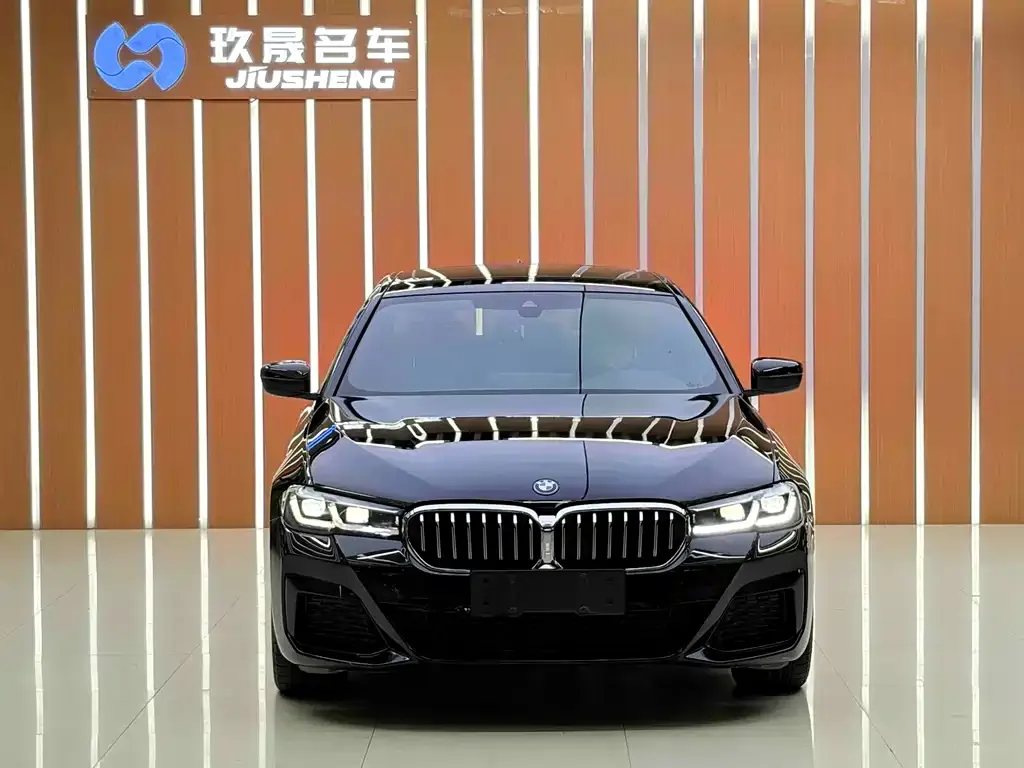 BMW 5 Series New Energy — фото 9