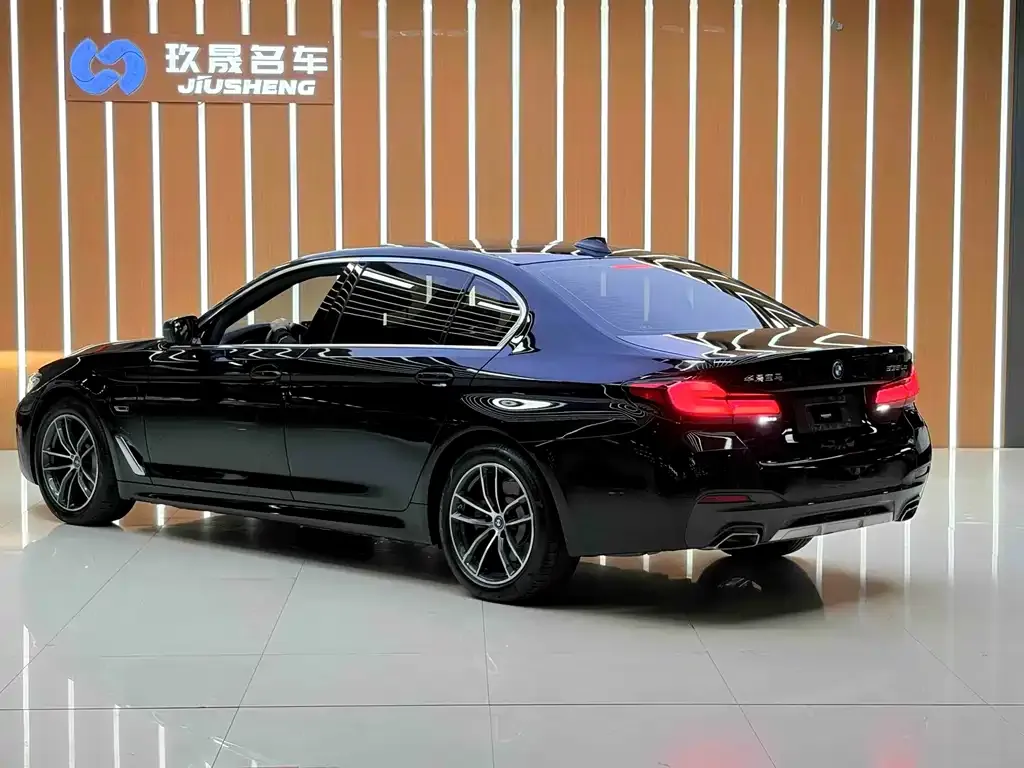 BMW 5 Series New Energy — фото 6
