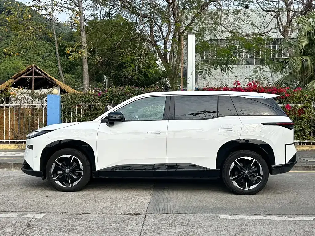 Toyota Platinum 3X 2026 из CN, фото 8