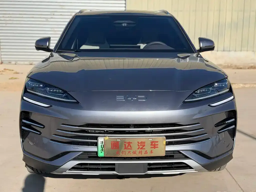 BYD PLUS New Energy — фото 10