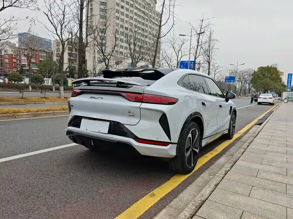 BYD L EV 2025 из CN, фото 10