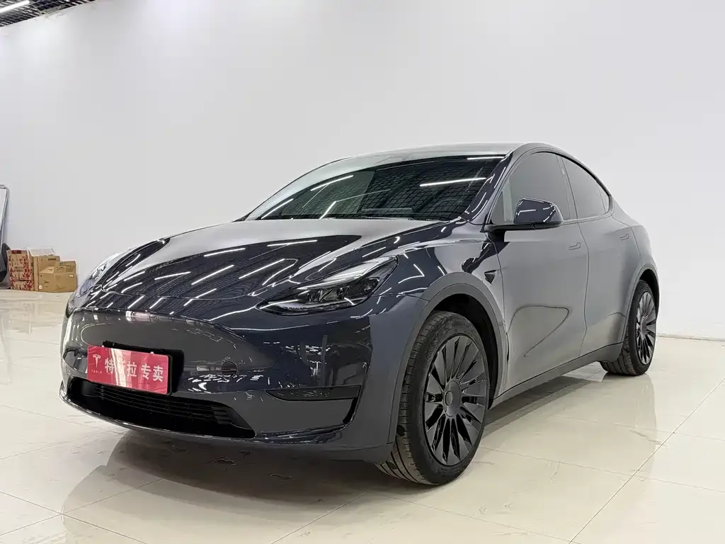 Tesla Model Y 2024 из CN, фото 1