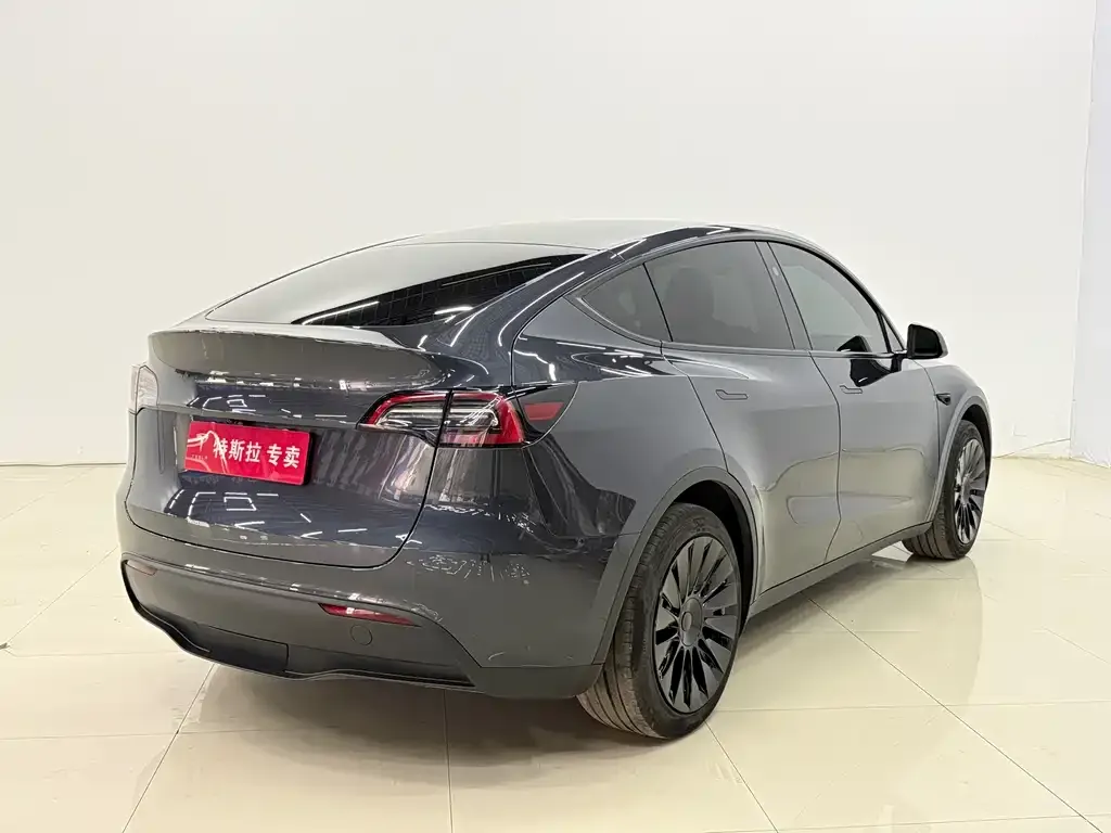Tesla Model Y 2024 из CN, фото 4