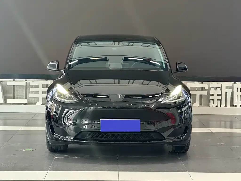 Tesla Model Y 2023 из CN, фото 6