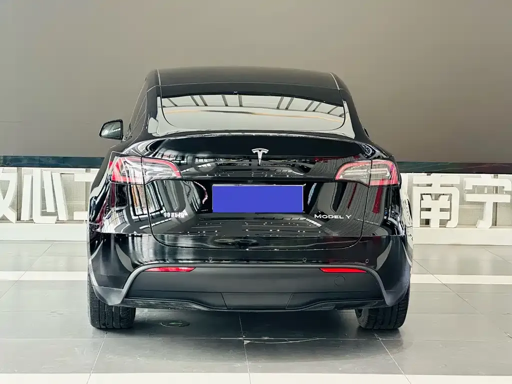 Tesla Model Y 2023 из CN, фото 7