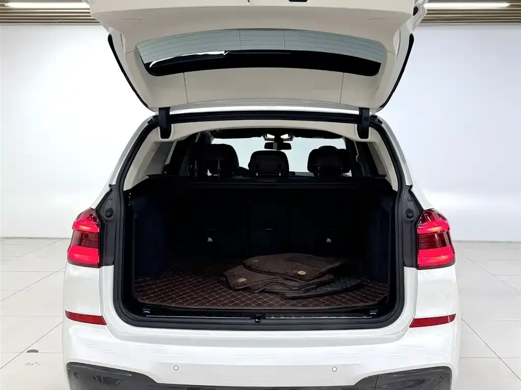 BMW X3 2021 из CN, фото 6