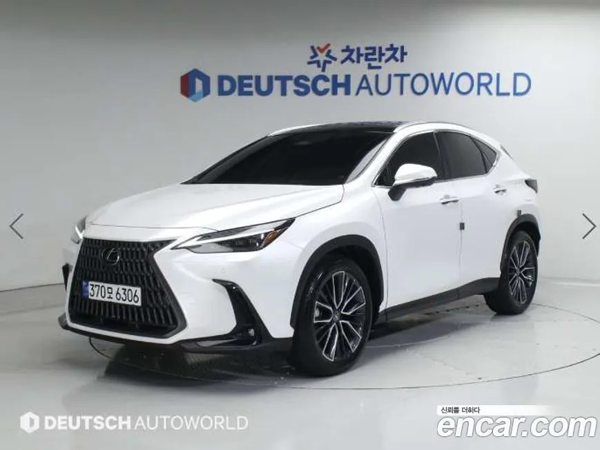 Lexus NX 2025 из KR, фото 1
