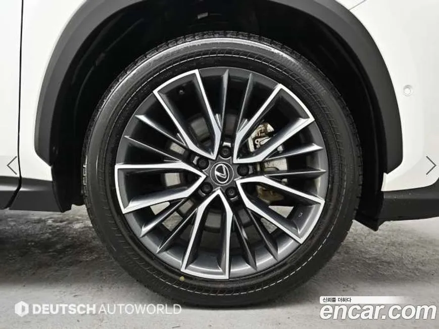 Lexus NX 2025 из KR, фото 5