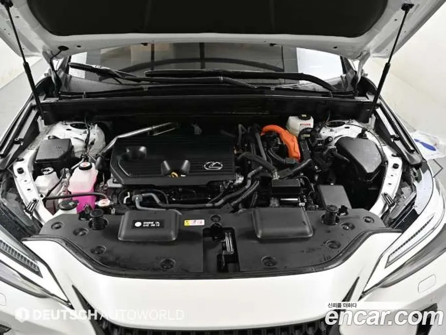 Lexus NX 2025 из KR, фото 9