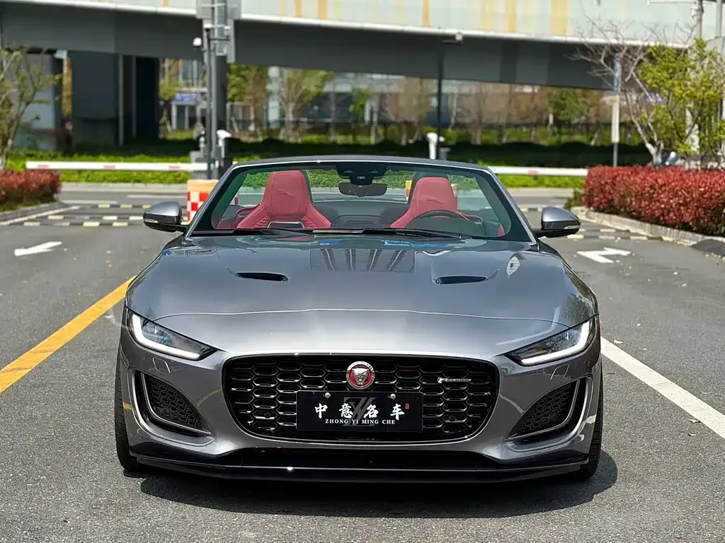 Jaguar F-TYPE — фото 10