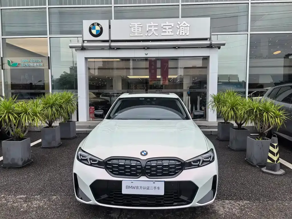 BMW 3 Series 2024 из CN, фото 8