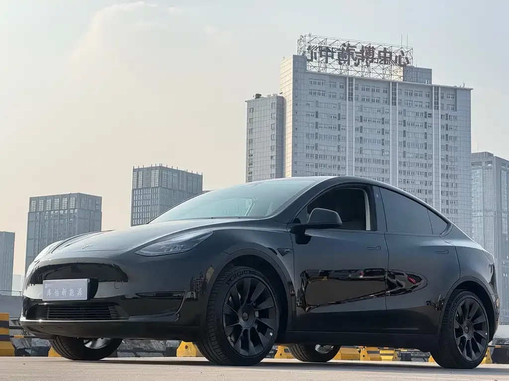 Tesla Model Y — фото 1