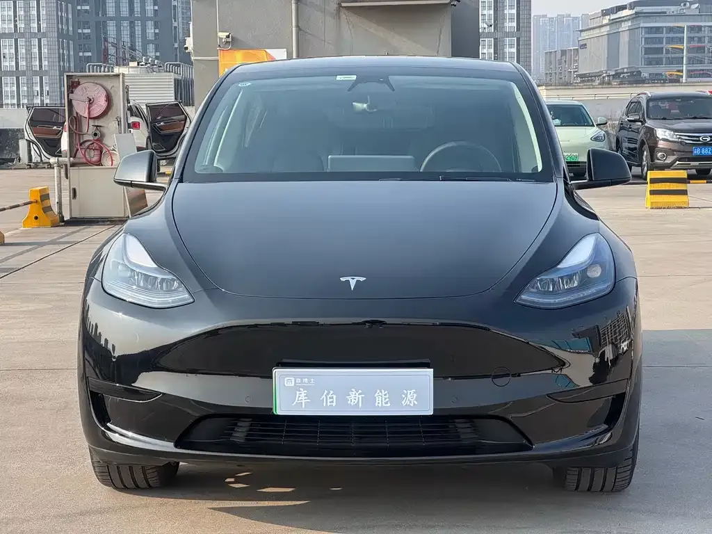 Tesla Model Y — фото 10