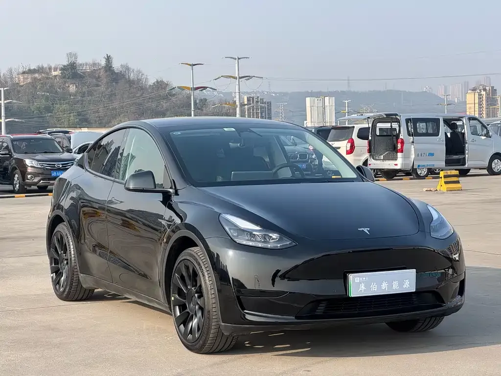Tesla Model Y — фото 7