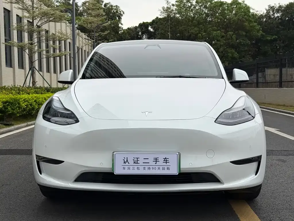 Tesla Model Y — фото 2