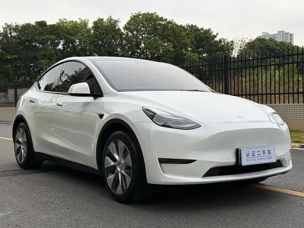 Tesla Model Y — фото 9