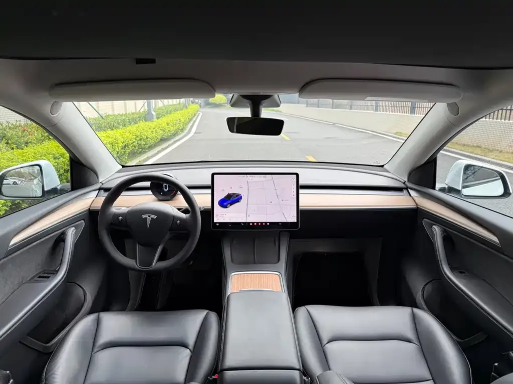 Tesla Model Y — фото 8