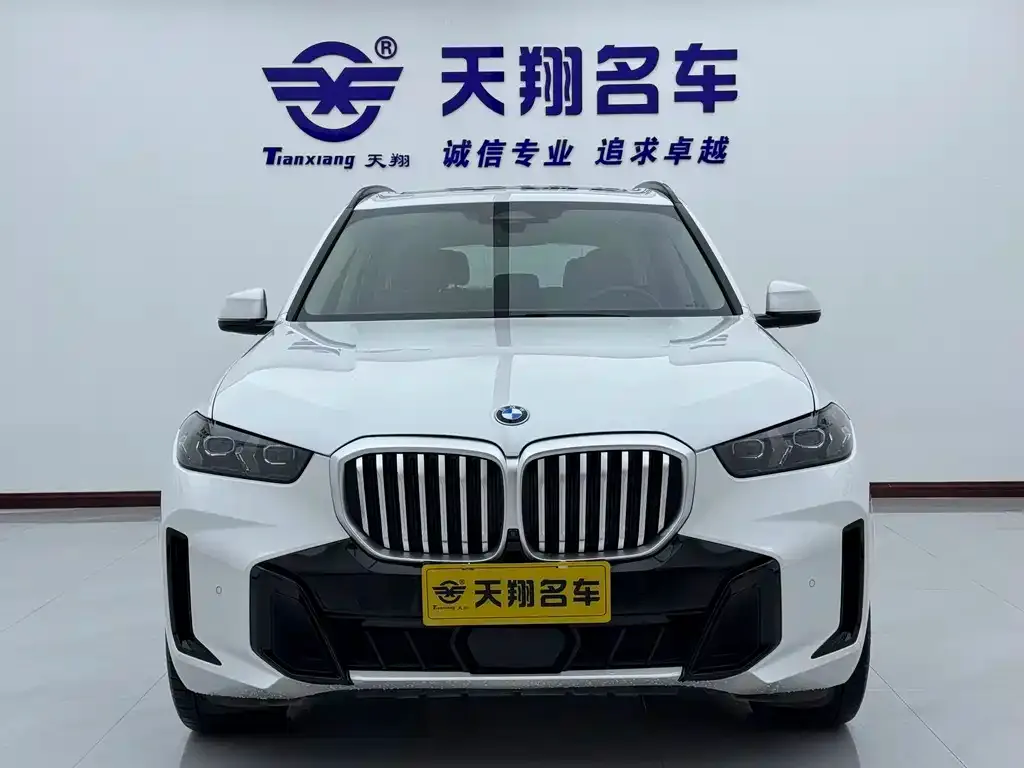 BMW X5 — фото 2