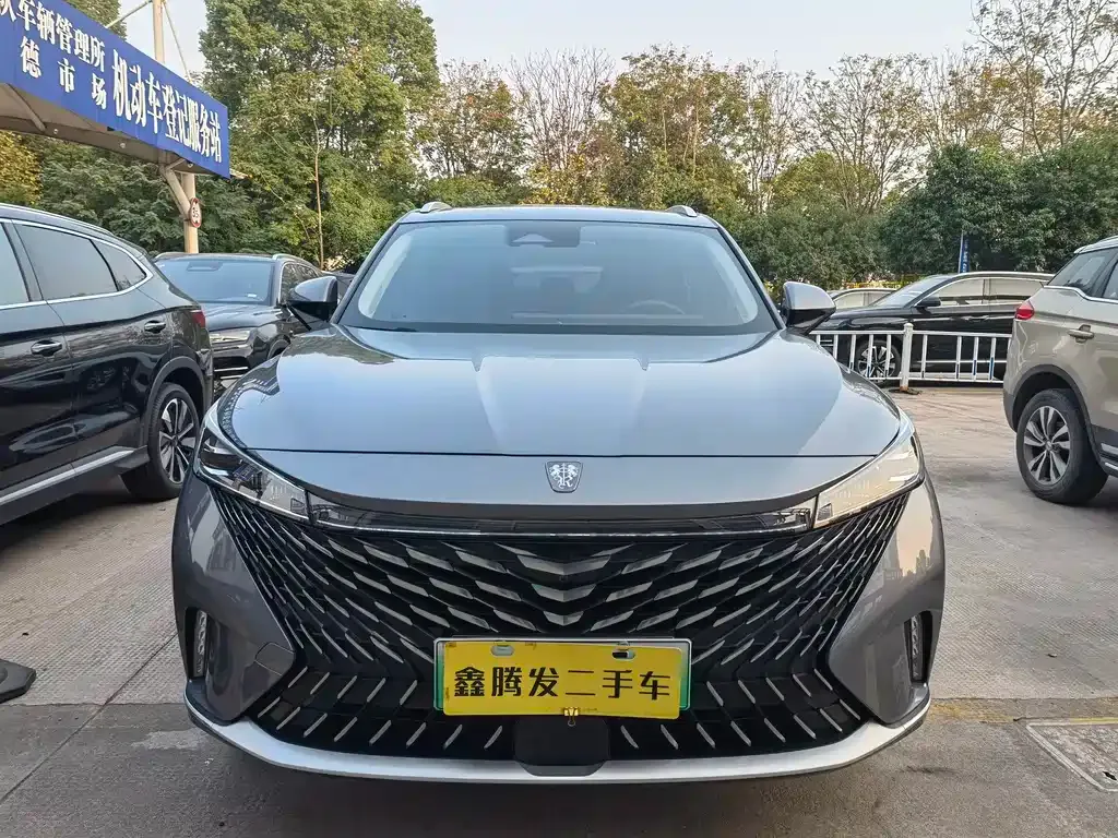 Roewe RX5 New Energy 2022 из CN, фото 10