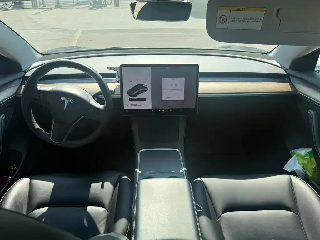 Tesla Model 3 — фото 2