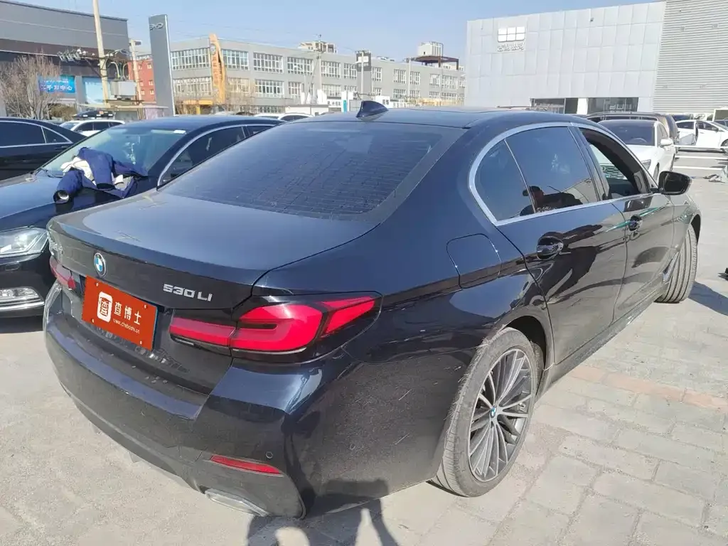 BMW 5 Series 2021 из CN, фото 7