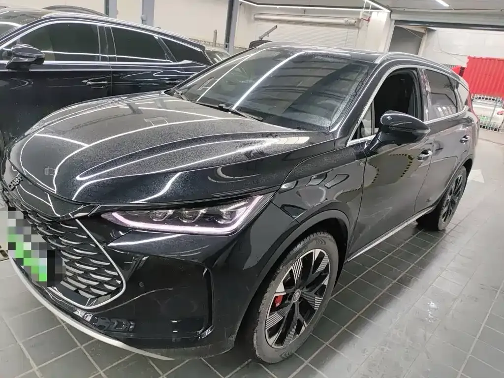 BYD Tang New Energy 2024 из CN, фото 1